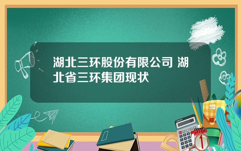 湖北三环股份有限公司 湖北省三环集团现状